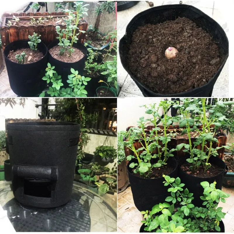 3-Size Versatile Plant & Potato Grow Bags