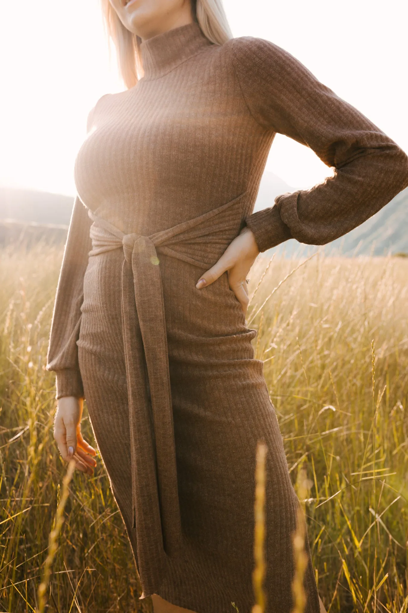 Jensen Dress in Mocha - FINAL SALE