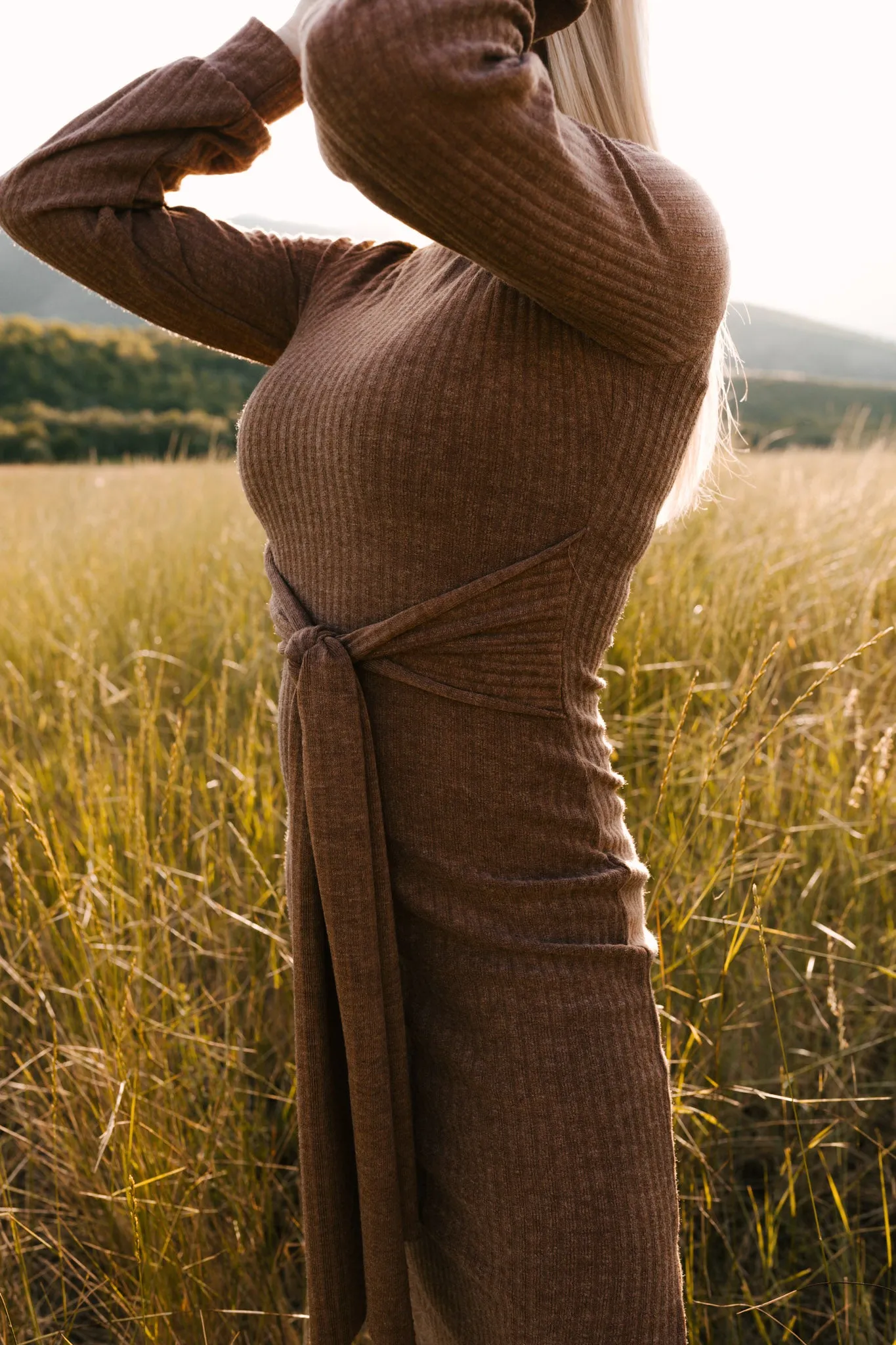 Jensen Dress in Mocha - FINAL SALE